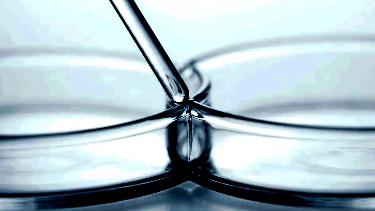 Close-up of a glass stirring rod resting across a plain crystallising dish.