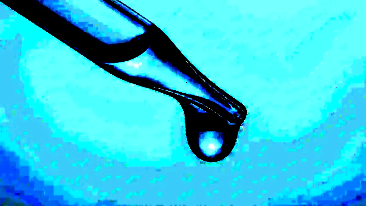 Macro photograph of a clear droplet hanging from the tip of a glass pipette.